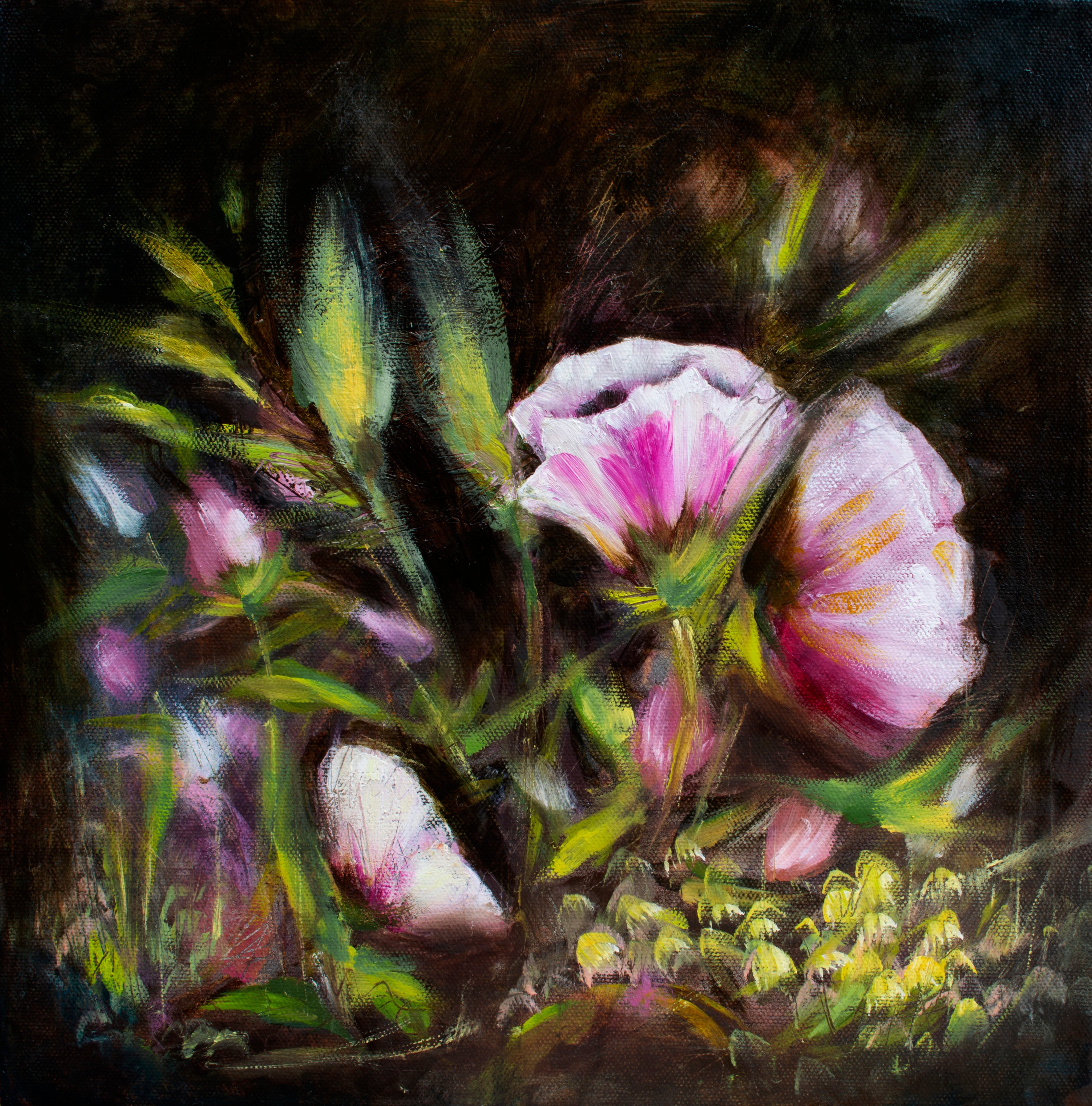 Blush Garden