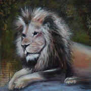 ENZI
