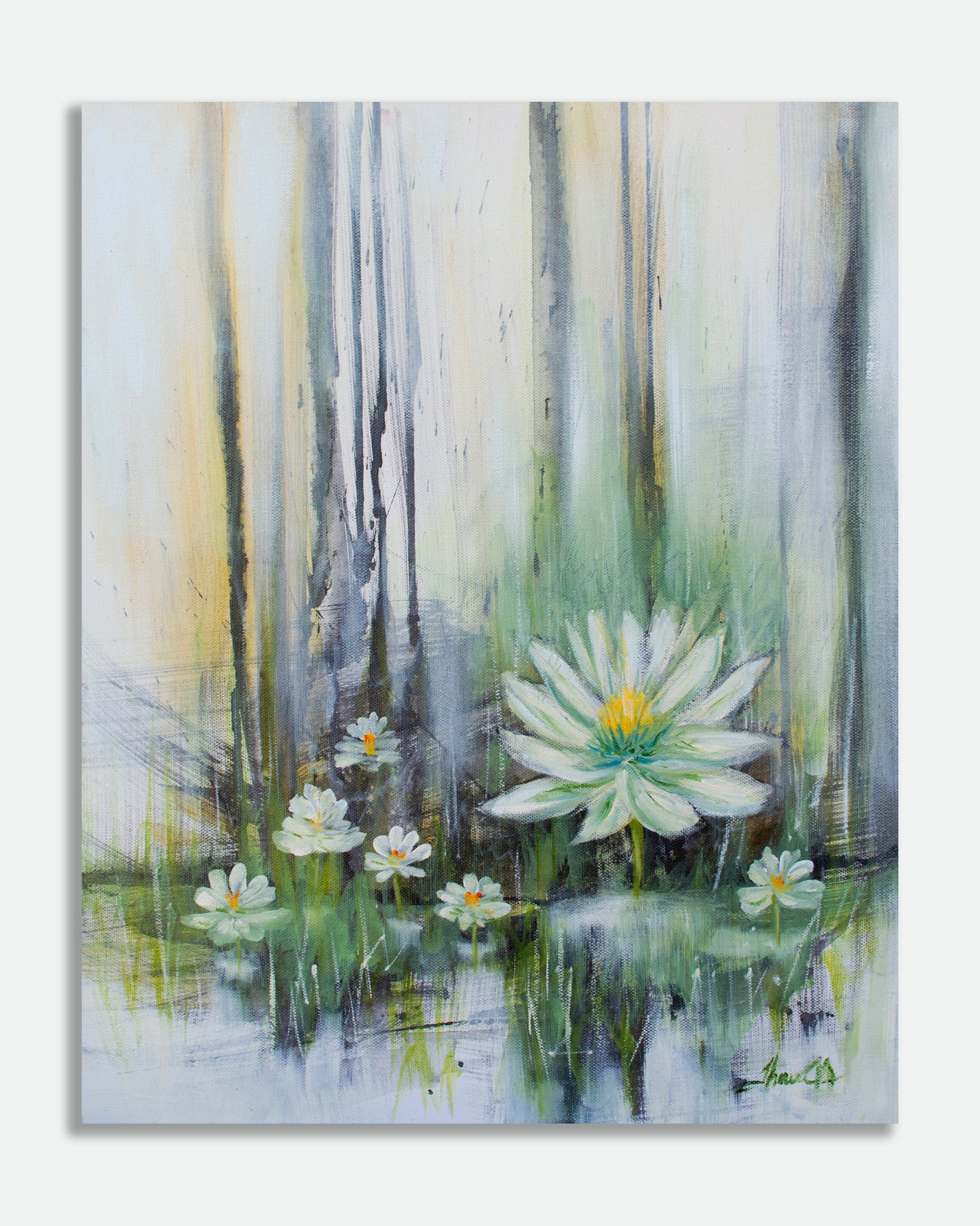 Lotus Beauty