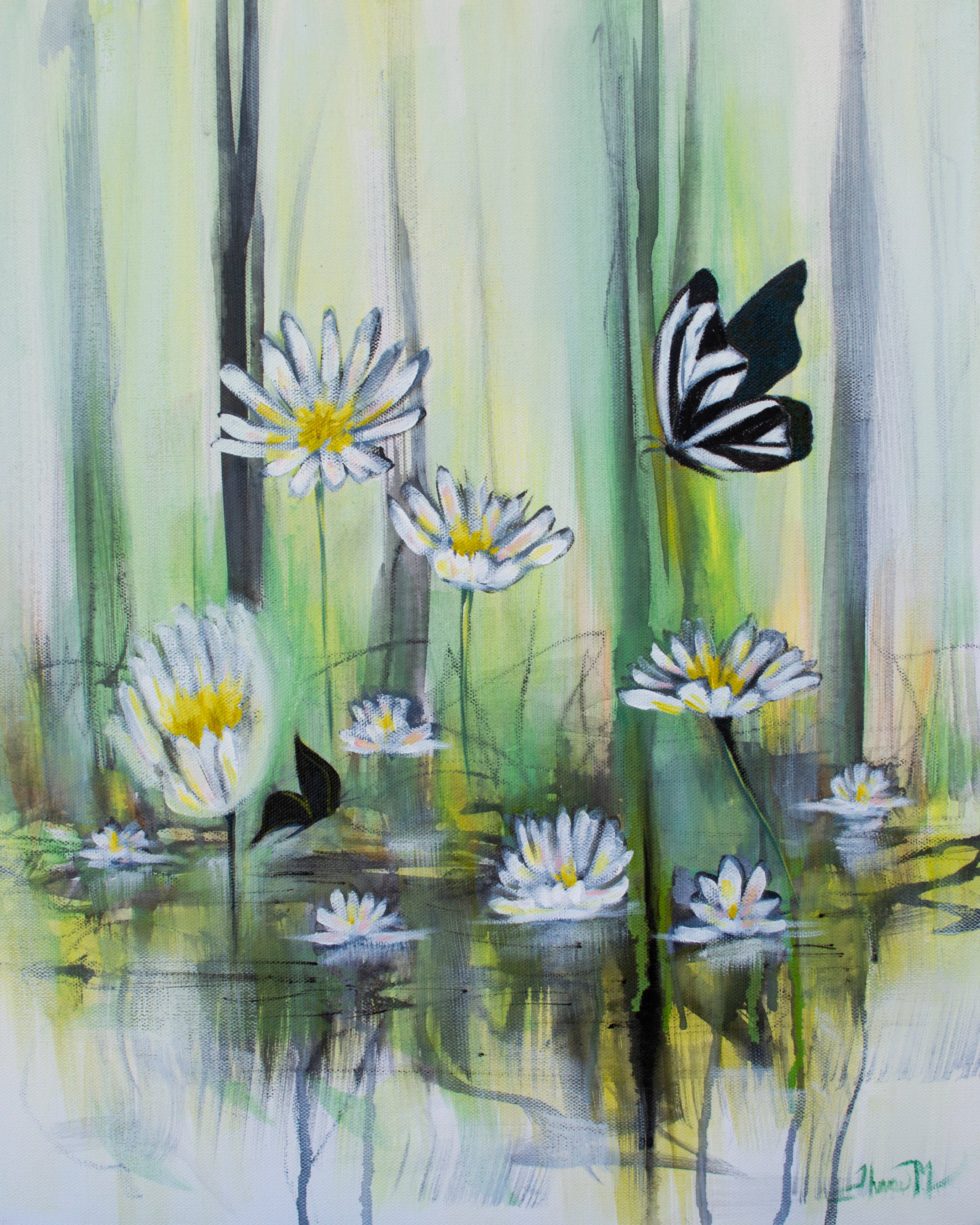 Black Butterflies