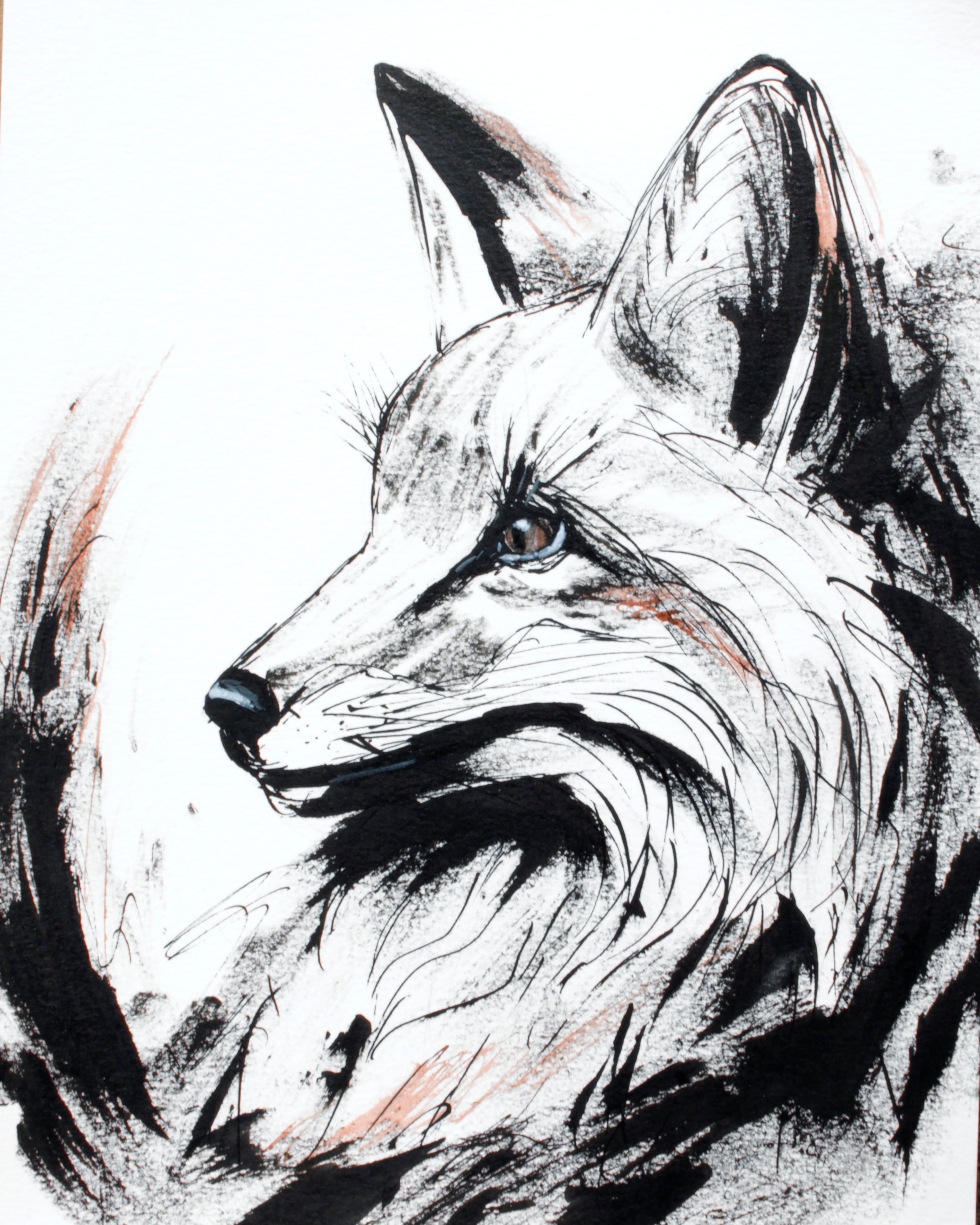 Fox 2